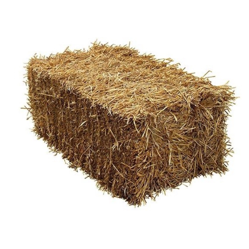 Non-Organic 2nd Cut Hay Square Bales - BLUEVAULT HAY